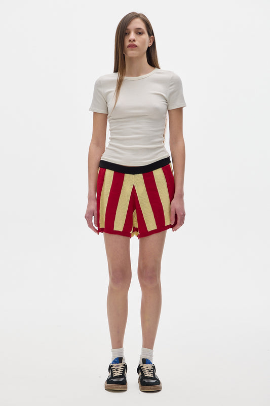 Jump Stripes Knit Shorts_Yellow